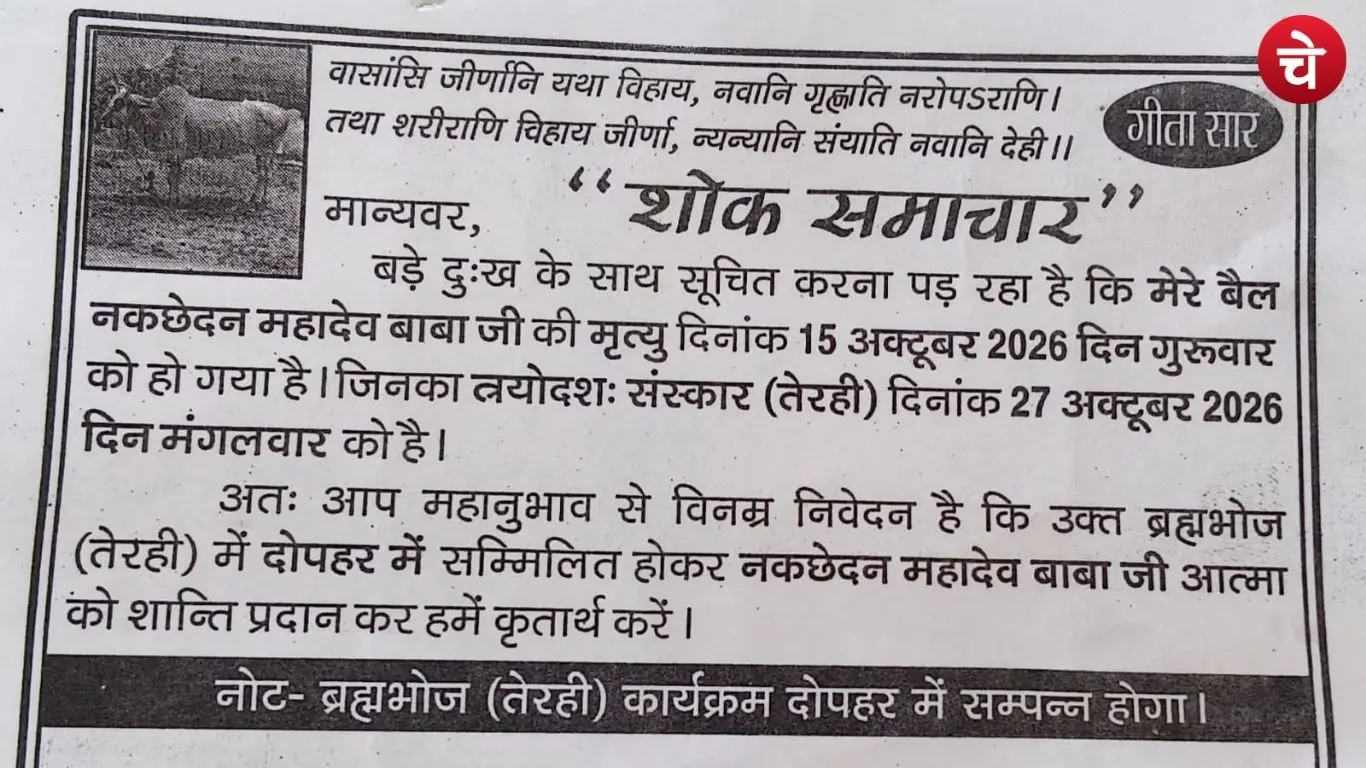 जौनपुर में मृत बैल की तेरहवीं का आयोजन, 3,000 लोगों के लिए बनेगा भोजन